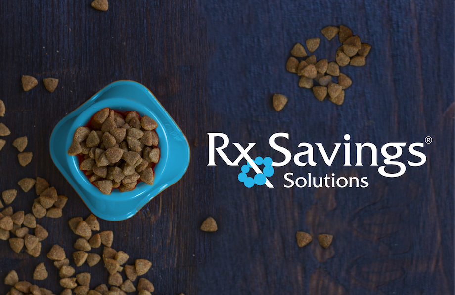 Scattered dog food in and around a blue ceramic dish beside Rx Savings Solutions logo