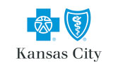 bcbs logo