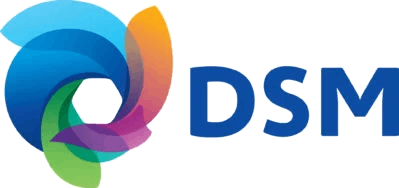 dsm_logo